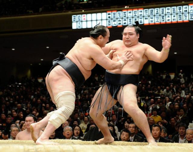 横綱鶴竜、大関豪栄道、照ノ富士に土