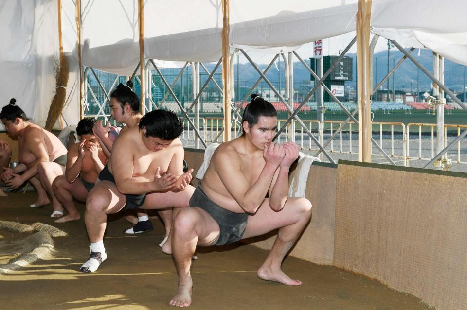 　朝稽古に励む武蔵川部屋の力士たち（共同）