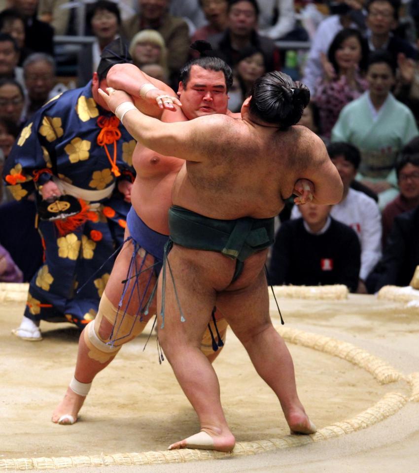 琴奨菊（左）は寄り切りで高安を破る＝エディオンアリーナ大阪（撮影・山口登）