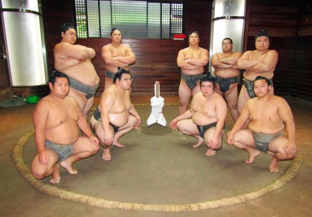 移転する貴乃花部屋 静かに最後の稽古/スポーツ/デイリースポーツ online