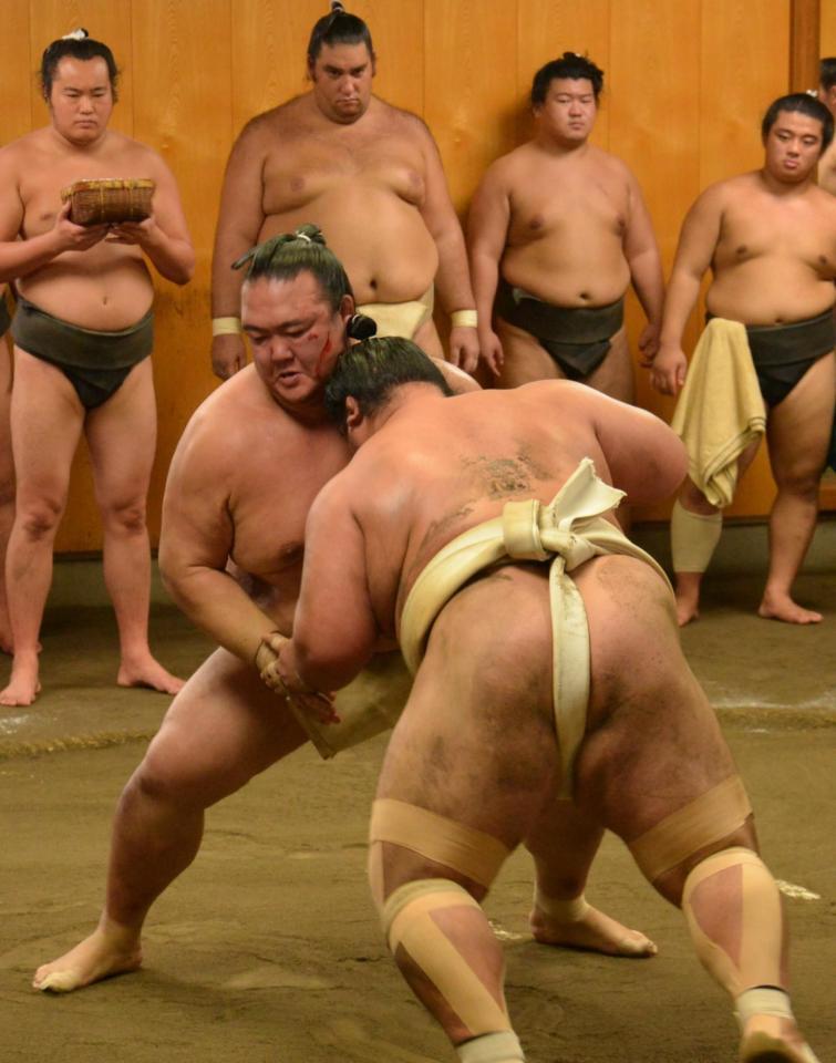 琴奨菊（手前右）との１０番で８勝した稀勢の里＝千葉県松戸市の佐渡ケ嶽部屋