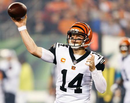 ＮＦＬ、ベンガルズが２勝目