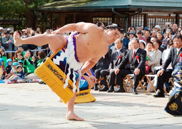 日馬富士、白鵬が出雲大社で土俵入り　相撲の始祖、野見宿禰を参拝