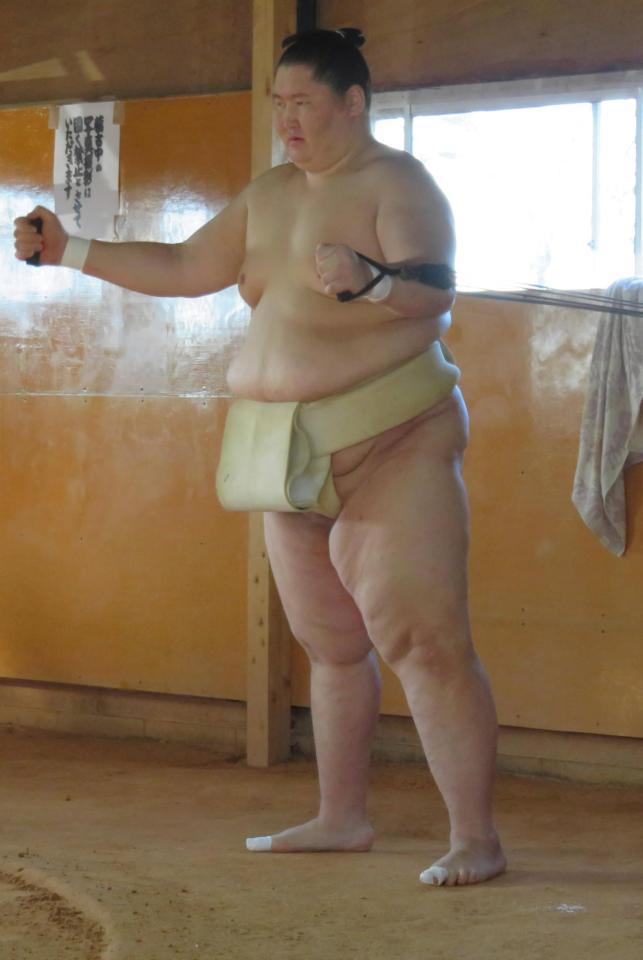 ３０キロの減量に成功した逸ノ城