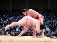 大栄翔（後方）に叩き込みで敗れた宇良和輝＝福岡国際センター（撮影・開出牧）