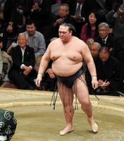 白鵬を破り、土俵上で仁王立ちの稀勢の里と土俵下で満面の笑みを浮かべる横審の守屋委員長（左端）＝両国国技館（撮影・出月俊成）