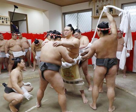 　完成した綱を締める新横綱稀勢の里＝26日午前、東京都江戸川区の田子ノ浦部屋