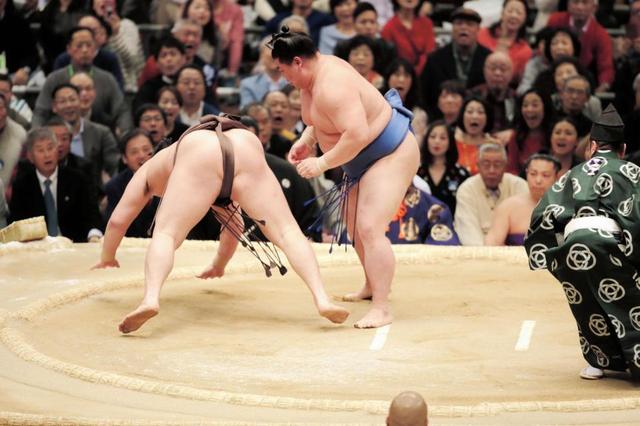 白鵬、日馬富士が黒星発進　稀勢の里は白星　４横綱で明暗