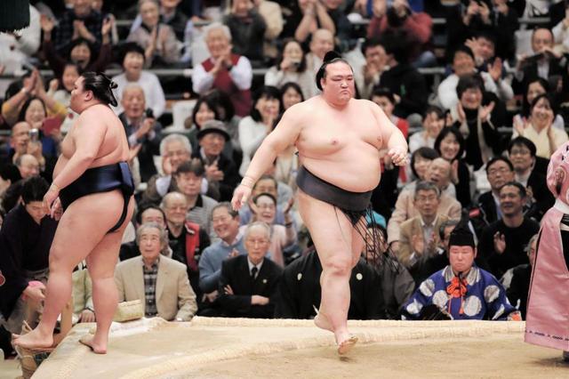 稀勢の里、横綱相撲で７連勝　高安との“田子ノ浦コンビ”が全勝守る
