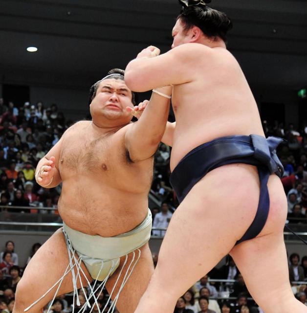 高安とまらん８連勝　兄弟子・稀勢とそろってストレート給金