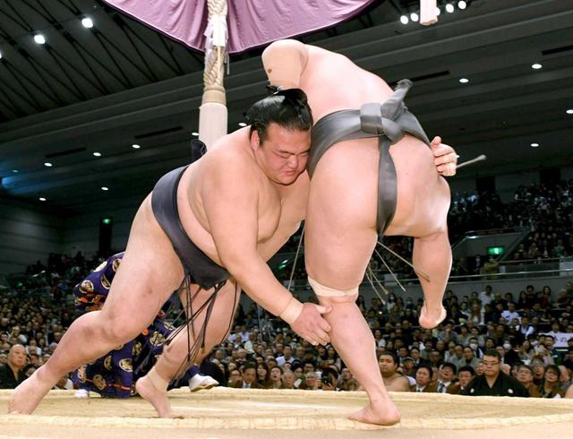 稀勢の里、無傷１２連勝！真凜に魅せた綱の貫禄
