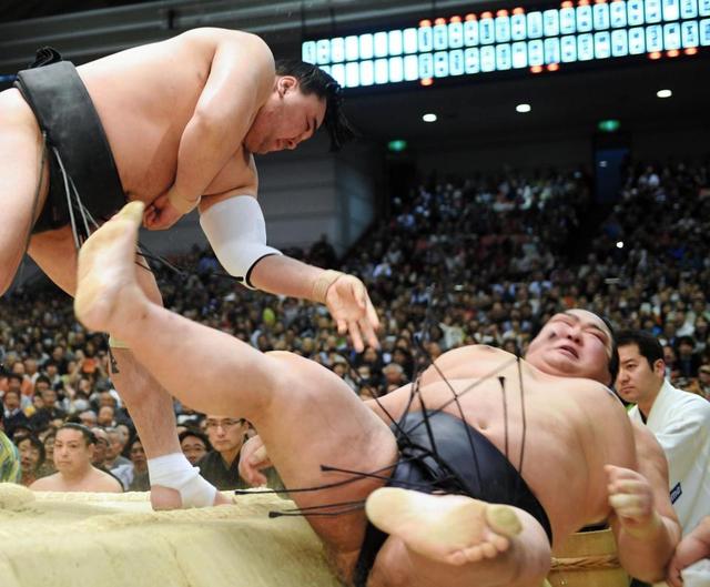 元朝青龍、負傷の稀勢の里バッサリ？「負けた瞬間に力抜いた本人が悪い」