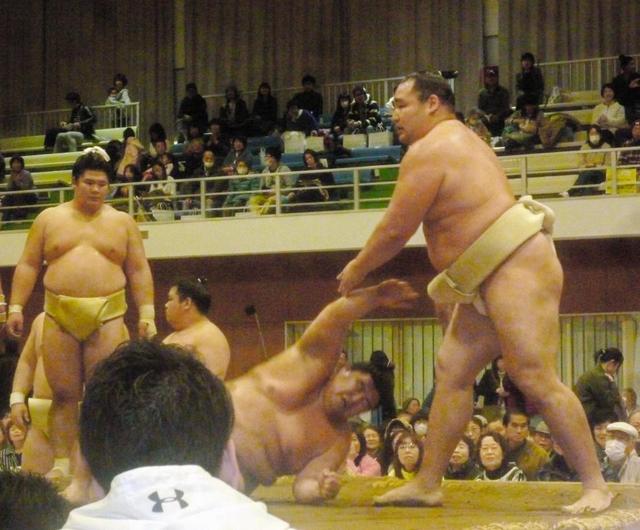 鶴竜が正代を“かわいがり”鬼指導に「ありがたいです」