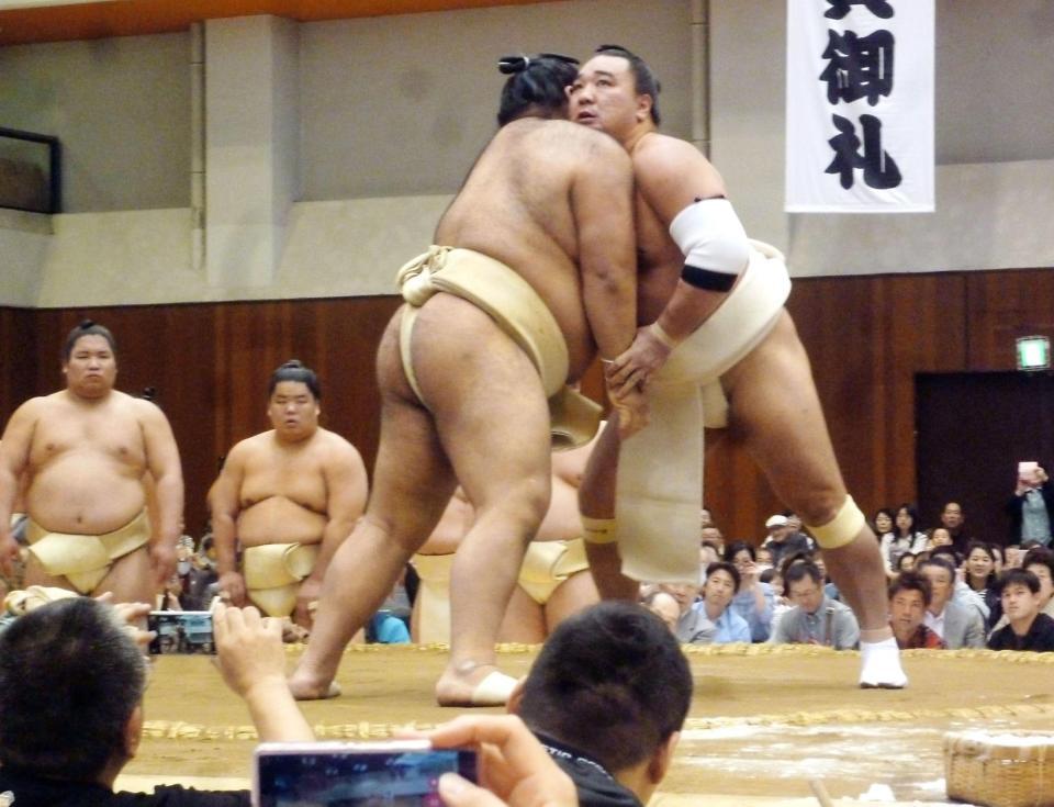 横綱日馬富士、春巡業参加「膝が痛い。水がたまっている