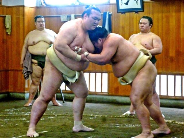 稀勢の里　２３歳ホープを圧倒　大栄翔「左を差されたら何もできない」