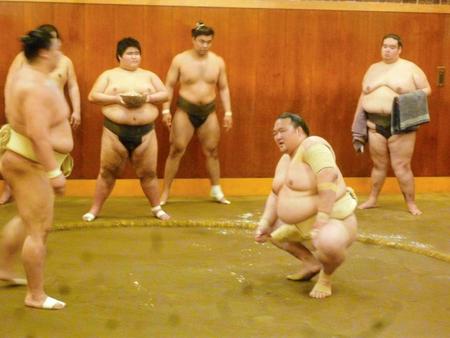 仕切りで顔をしかめる稀勢の里（右）