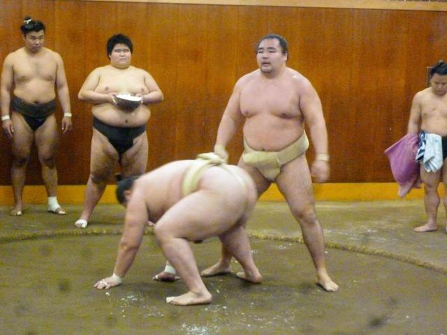 鶴竜、ライバル稀勢の里は「全然動いている」回復ぶり確認