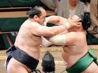 旭日松（右）に突っ張りを繰り出す安美錦＝両国国技館（撮影・開出牧）