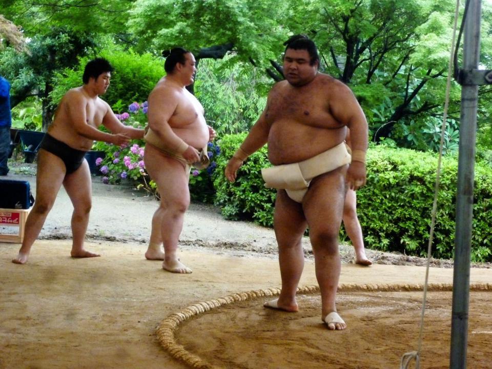 　稀勢の里を豪快に土俵外に飛ばした高安（手前）