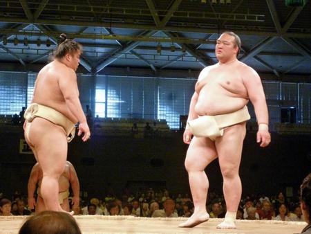 大栄翔（左）を相手に相撲を取る稽古を再開した稀勢の里