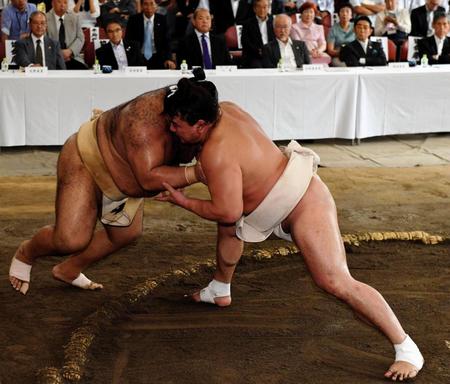高安（左）に胸を出す日馬富士＝両国国技館（撮影・中田匡峻）