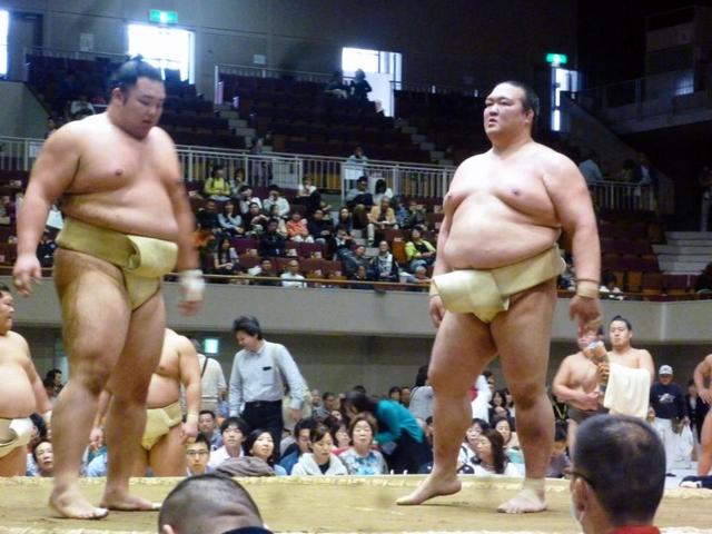 稀勢の里、連日の三番稽古「疲れていたら力士はやっていられない」　大相撲秋巡業