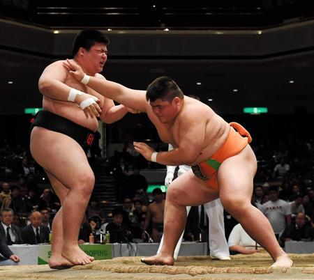　予選２回戦で日大・廣尾達成（左）を押し出しで破る埼玉栄・納谷幸之介