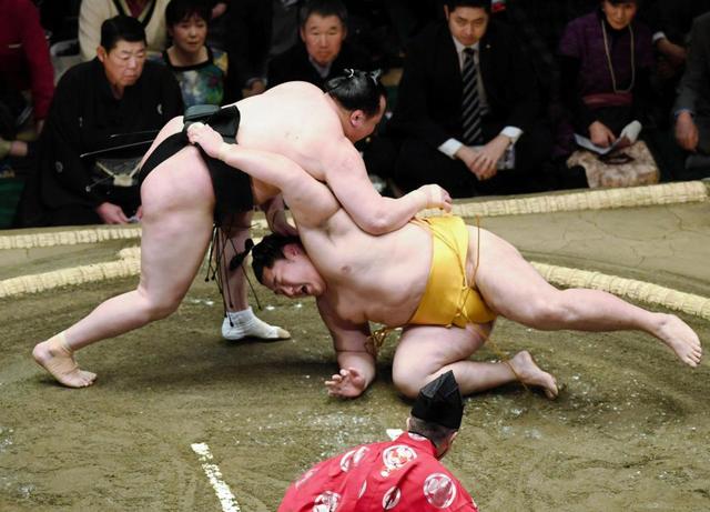 遠藤が初黒星 千代翔馬の上手投げに屈する スポーツ デイリースポーツ Online