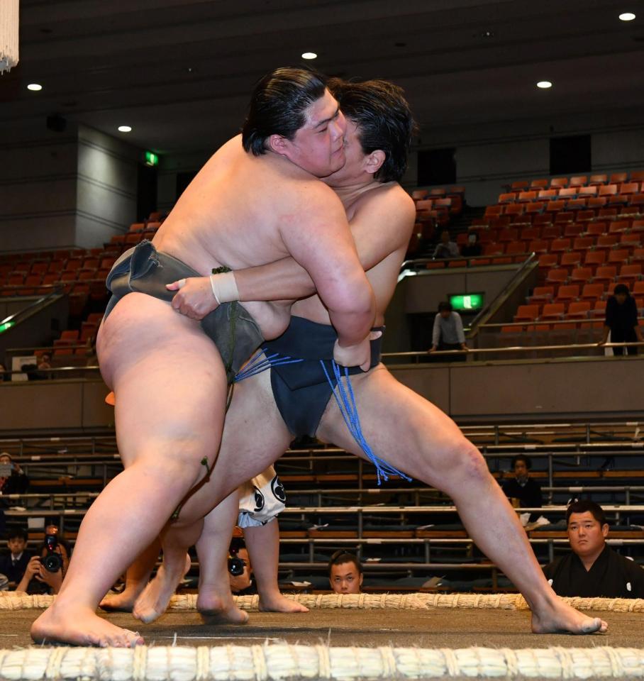 しっかりと組み合う納谷（左）と豊昇龍＝エディオンアリーナ大阪（撮影・持木克友）