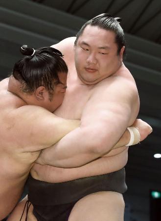 白鷹山、若隆景が新十両昇進 夏場所、朝弁慶が十両復帰