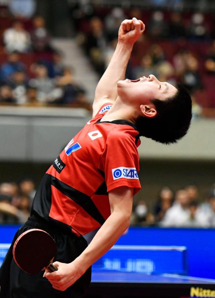 　５、６位決定戦　丹羽孝希からポイントを奪い、ガッツポーズする張本智和（共同）