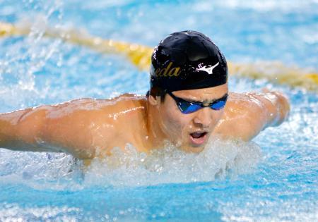 　力泳する幌村尚＝埼玉県新座市