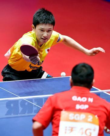 　男子１次リーグ　シンガポール戦でプレーする張本智和＝ハルムスタード（共同）