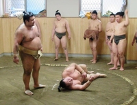 ぶつかり稽古で高安（左）に転がされる稀勢の里