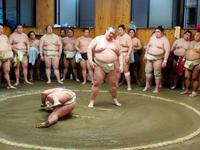 嘉風（左）を投げ飛ばし、険しい表情の稀勢の里