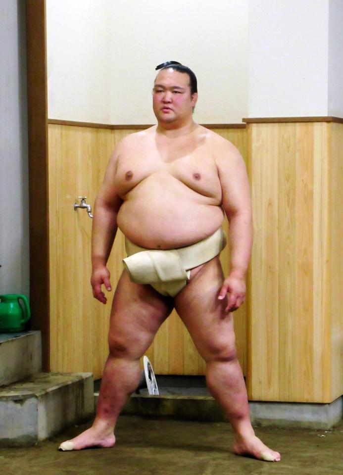 稀勢の里と遠藤翔太 まとめ売り