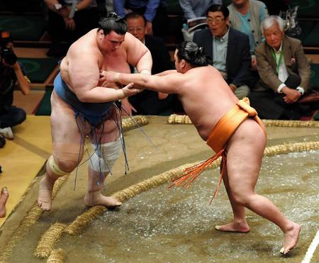 押し出しで碧山を破った旭大星（右）＝両国国技館（撮影・出月俊成）