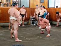 稀勢の里（左）の三番稽古相手を務めた阿武咲
