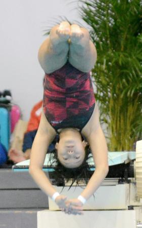 　女子１メートル板飛び込みで優勝した宮本葉月＝東京辰巳国際水泳場
