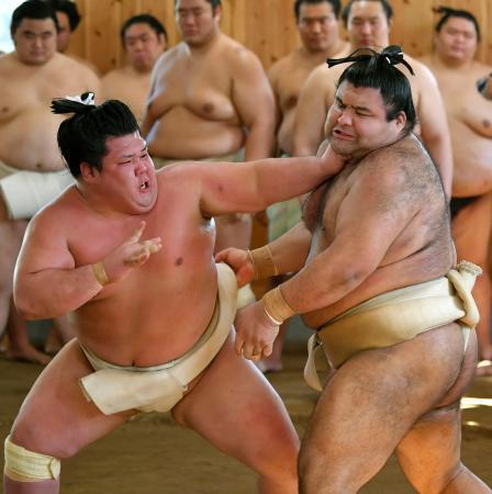 新生二所ノ関一門が連合稽古 旧貴乃花勢など加入