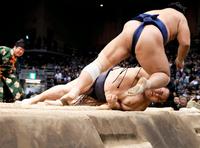 　一度は稀勢の里に軍配が上がったが、物言いがつき勝者は栃煌山に