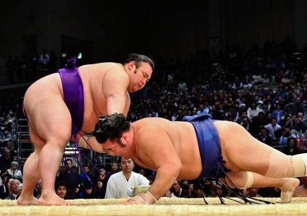 　栃煌山（右）を破り１０勝目を挙げた貴景勝