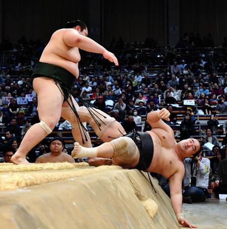 白鷹山（左）に寄り倒しで敗れる安美錦＝福岡国際センター