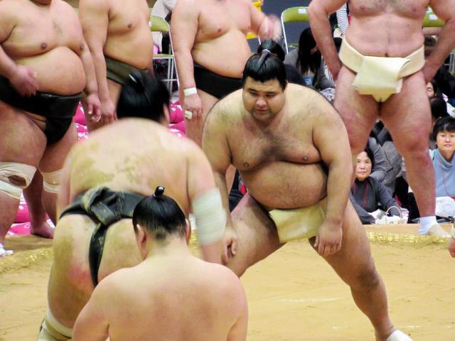 大関高安 冬巡業でも精力的　正代と１５番で１３勝「攻める相撲の流れを作りたい」