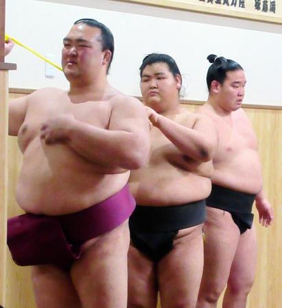 チューブを使ったトレーニングをする稀勢の里（左）