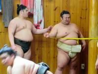 ゴムチューブを使い体幹トレーニングを行う貴景勝。左は貴ノ富士