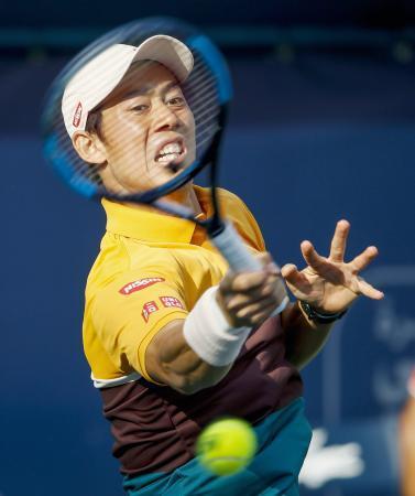 錦織がストレート勝ち 男子テニスのドバイ選手権