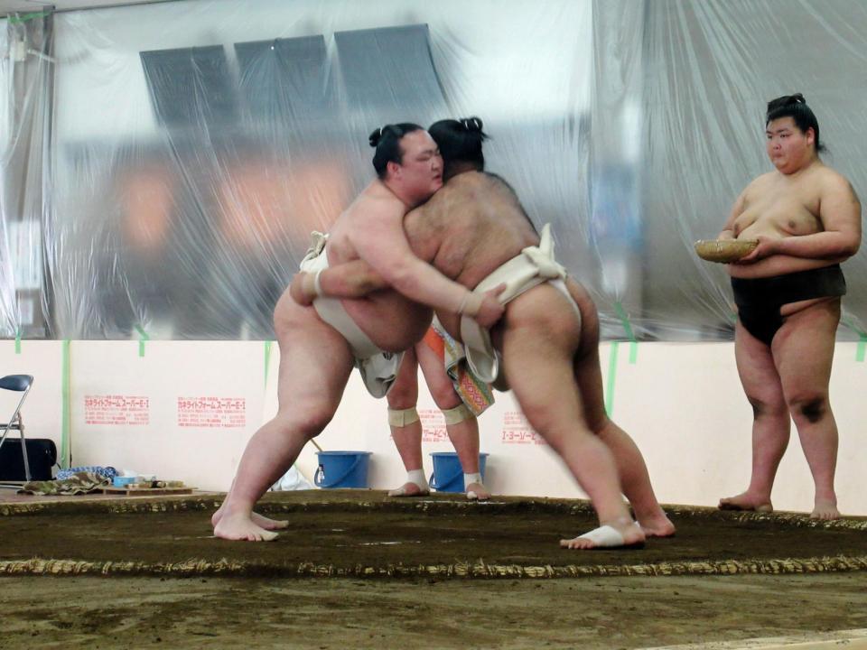 高安（右）とがっぷり組む荒磯親方