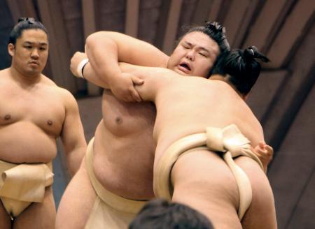 　相撲を取る稽古を始めた貴景勝（中央）＝１３日、神奈川県藤沢市