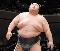 　碧山に敗れ、がっくりの貴景勝＝１９日